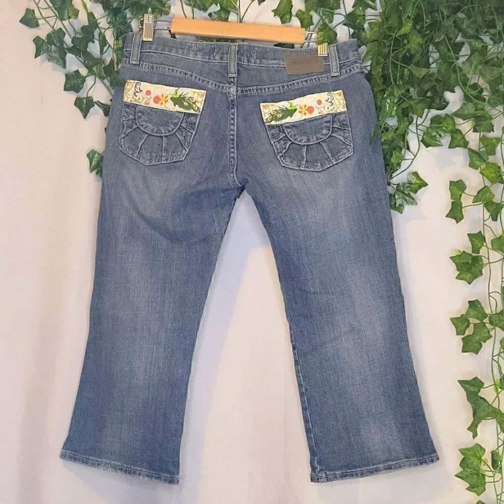 Vigoss. Capri jeans. Size 9/10. Embroidery. Sun, Peacock. EUC